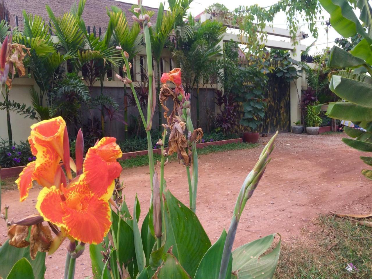 Happy Hippies Hostel Ciudad de Siem Riep Exterior foto